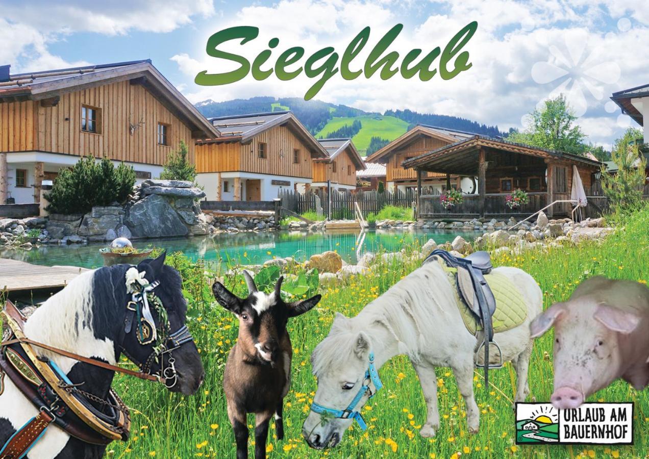Sieglhub Chalets - Appartements - Hotel ฟลาคเฮา ภายนอก รูปภาพ